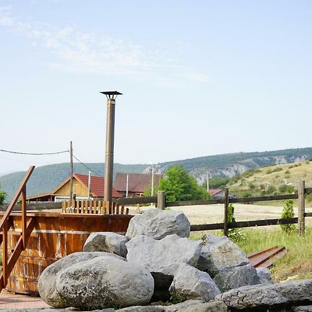 Pensiunea Cheile Apusenilor Sandulesti Exterior foto