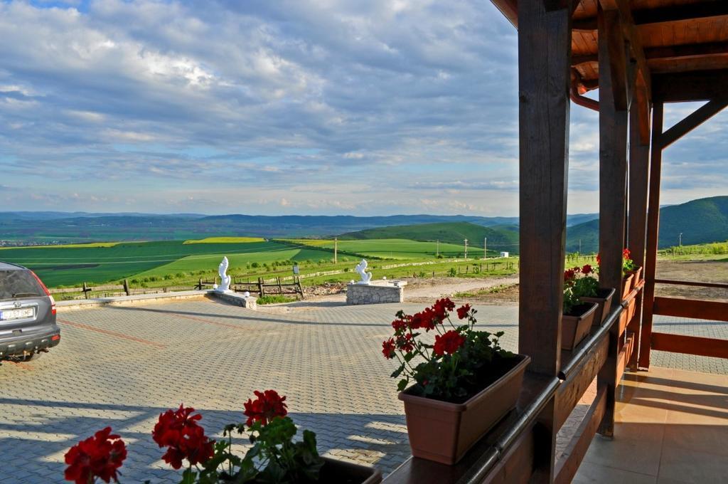 Pensiunea Cheile Apusenilor Sandulesti Exterior foto