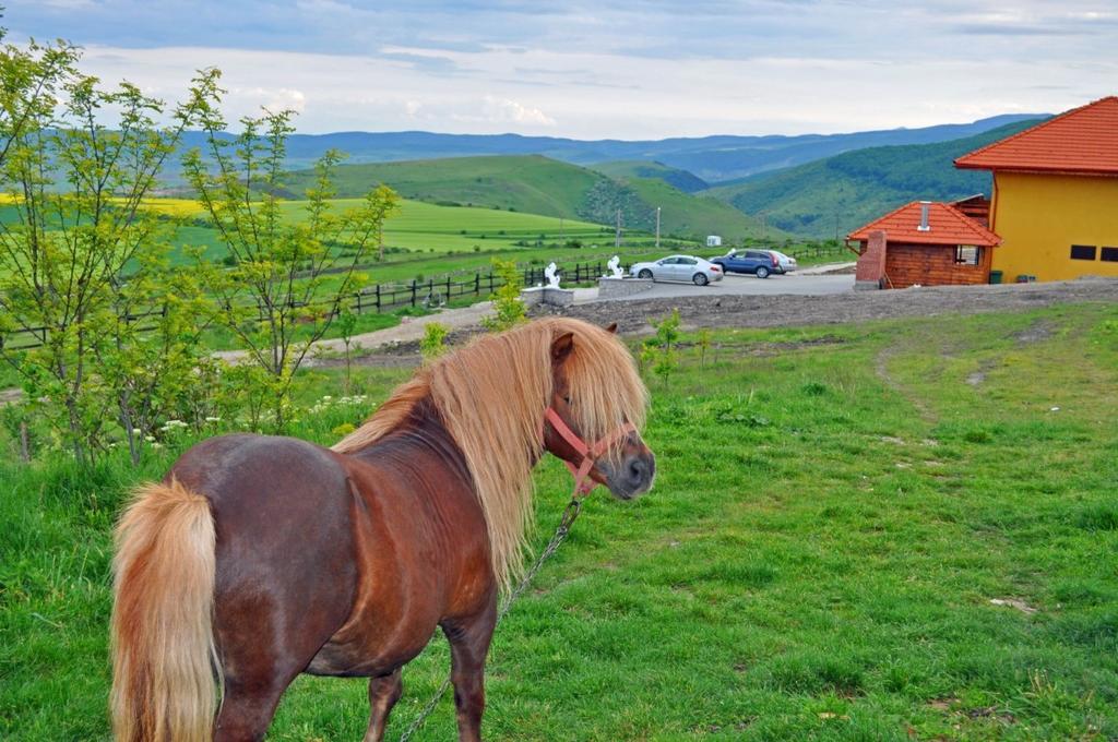 Pensiunea Cheile Apusenilor Sandulesti Exterior foto