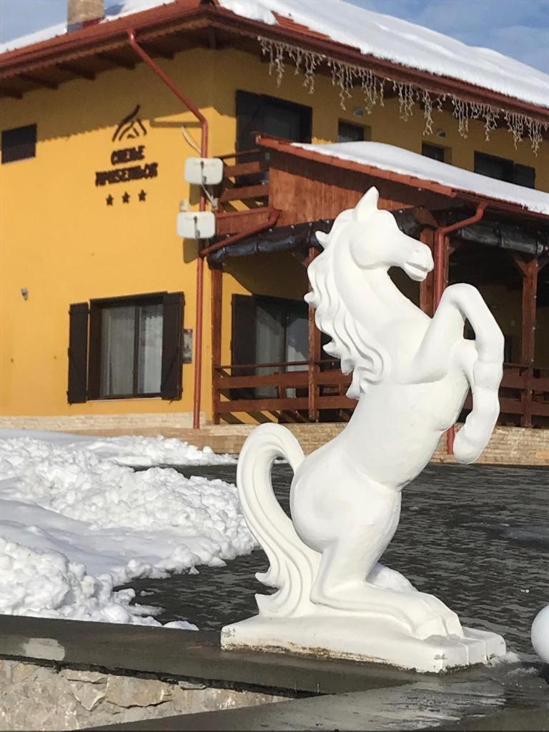 Pensiunea Cheile Apusenilor Sandulesti Exterior foto