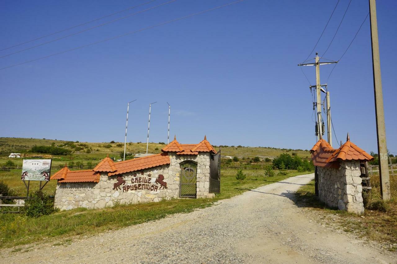 Pensiunea Cheile Apusenilor Sandulesti Exterior foto